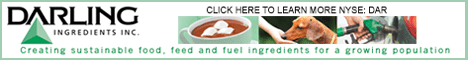Darling Ingredients Inc (NYSE:DAR)